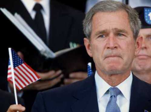 bush-flag