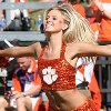 Vote On Clemson’s Next Football Coach