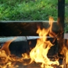 Wrong Coach On The Hot Seat?