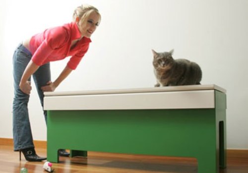 kitty-litter