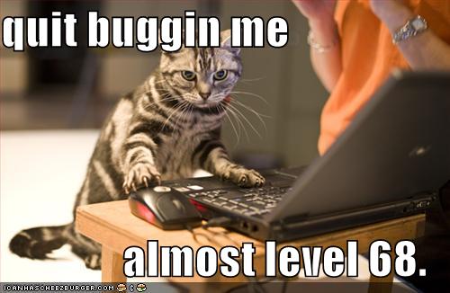 crazy-cat-computer