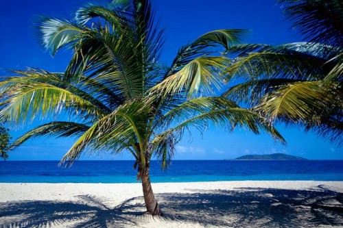 us-virgin-islands