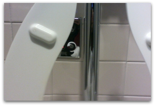 flush-potty