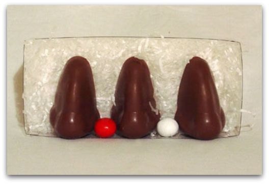 three-brown-noses