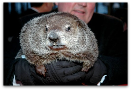 phil