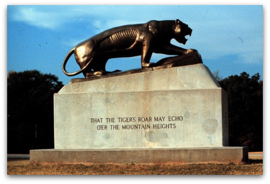 tiger-roar