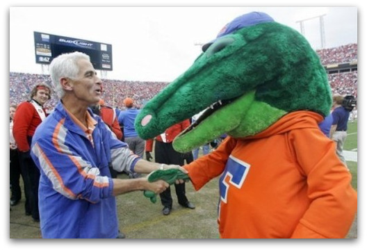 uf-gator
