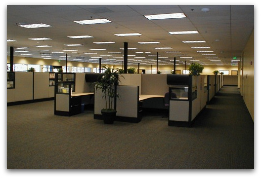 cubicles cubicles