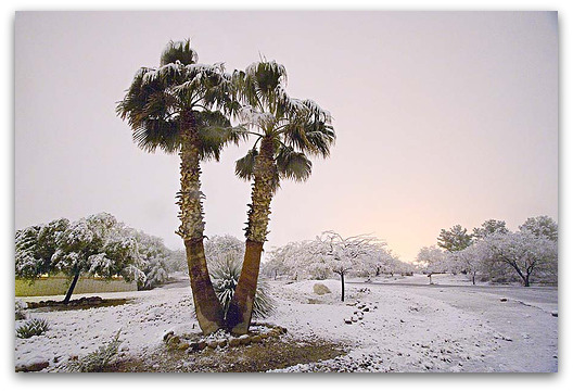 sc-snow sc-snow