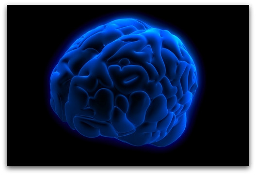brain brain