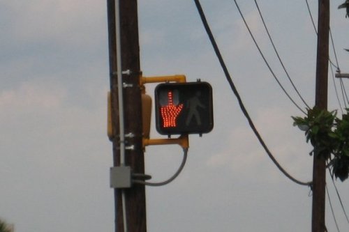 bird bird