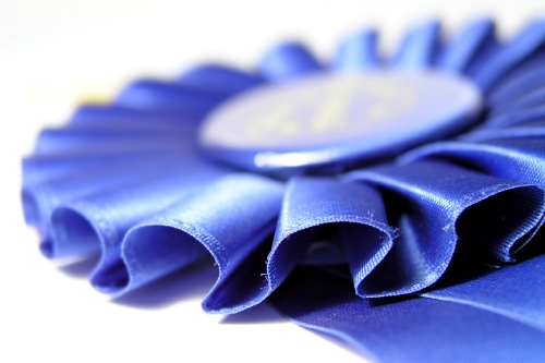 blue-ribbon blue-ribbon