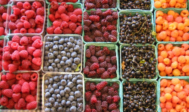 berries berries