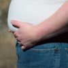 South Carolina: Still Fat