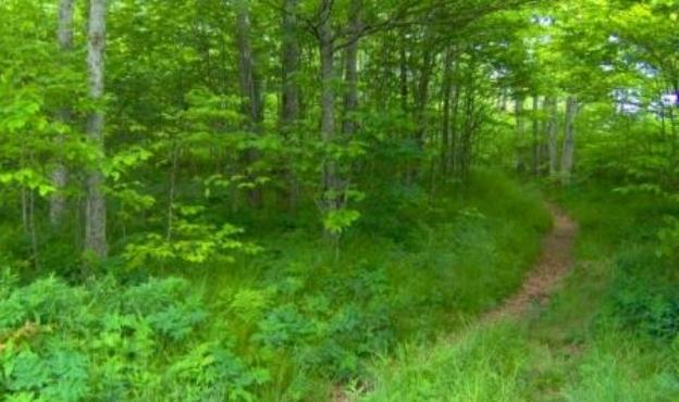appalachian trail appalachian trail