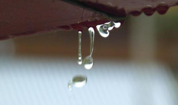 drip drip drip drip drip drip