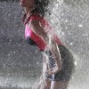 kp wet 005 kp wet 005