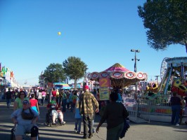 fair 004 fair 004