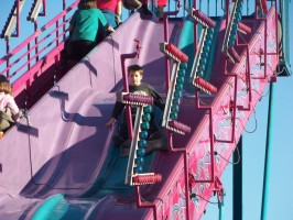 fair 005 fair 005