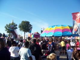 fair 008 fair 008