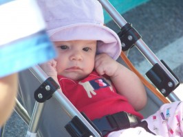 fair 014 fair 014