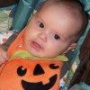 hallowonka 006