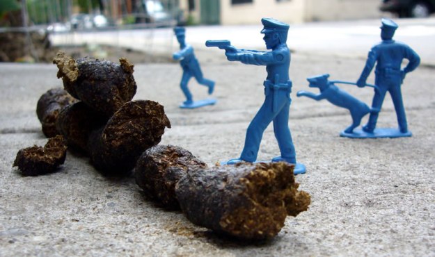 dog poo