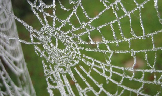 frost