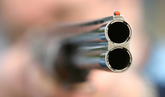 gun