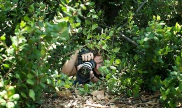 harrell peeping