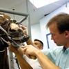 Happy Vet … Wait A Minute