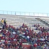 Gamecock Football Attendance Plummets