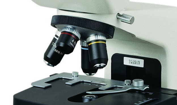 microscope microscope