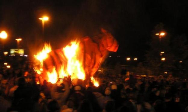 tiger burn tiger burn