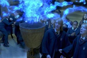 Joe Wilson And The Goblet Of Fire
