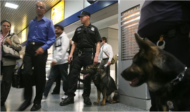 homeland security homeland security