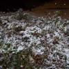 march snow 003