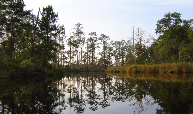 new river sc