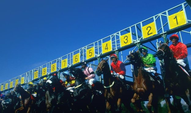horse race gate