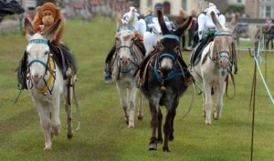 donkey derby