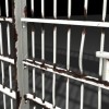 prison bars prison bars