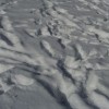 snow snow