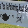 tea party rally protestors