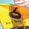gadsden flag sc
