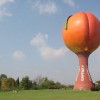 gaffney ass peach