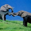 scgop fighting over lawsuit
