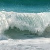 gone surfing gone surfing