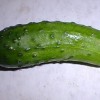 pickle