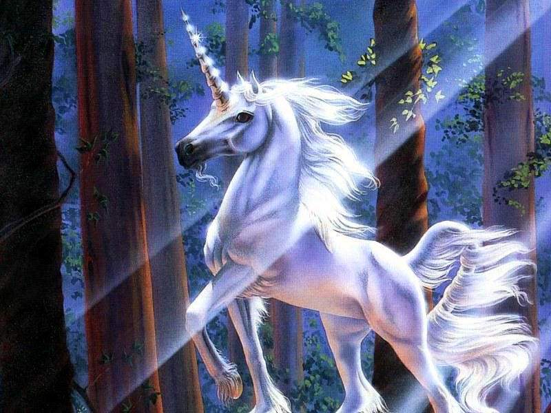unicorns