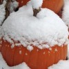 blizzard october